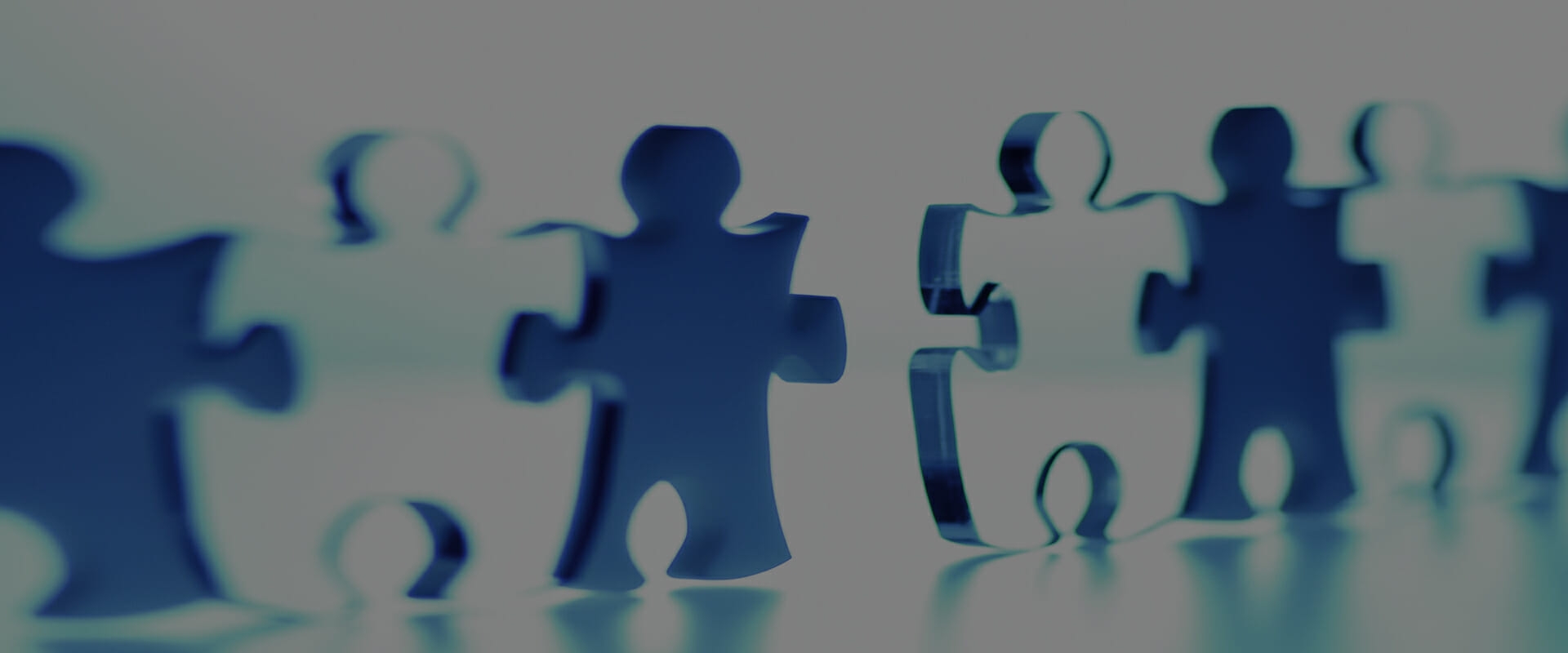 Mediator/Neutral Services Alternative Dispute Resolution