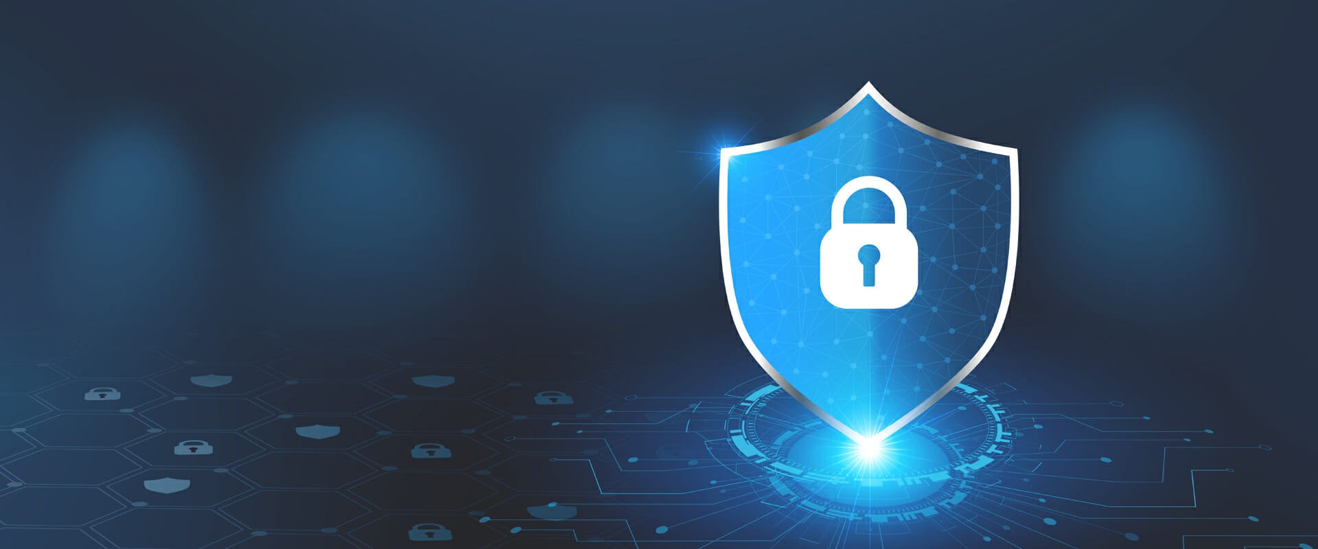 Privacy & Cybersecurity
