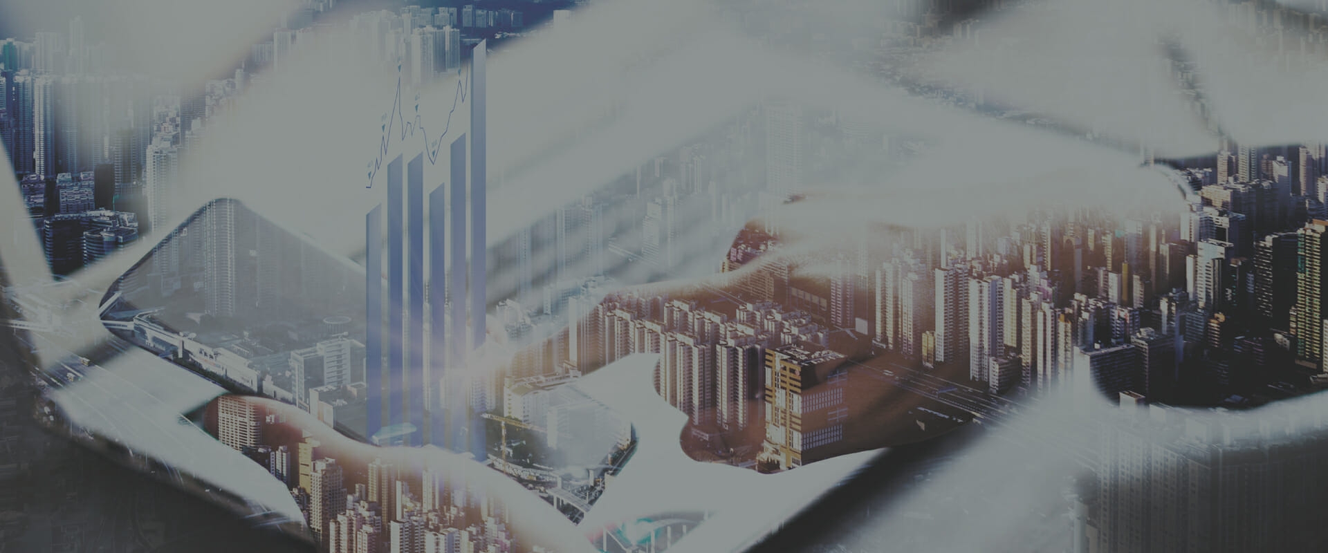 Asset Purchases & Sales