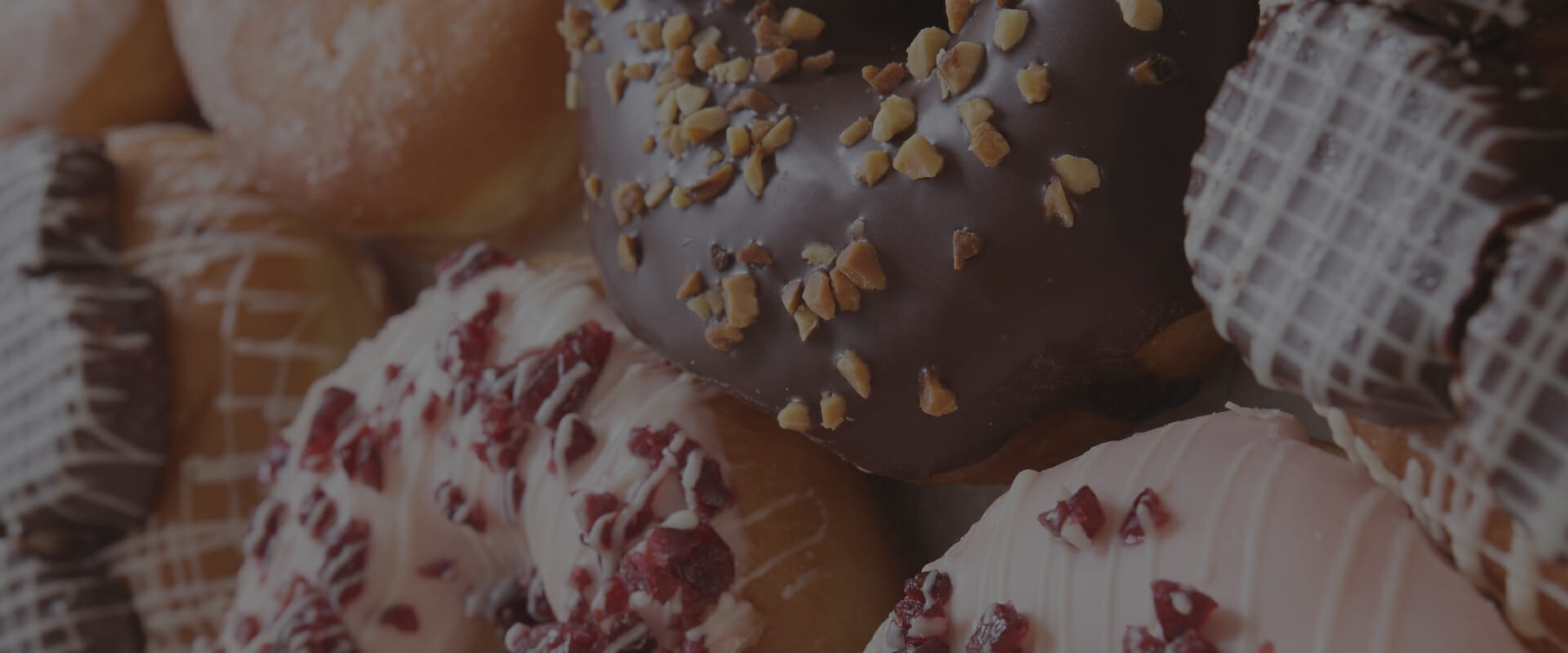 Franchising & Distribution