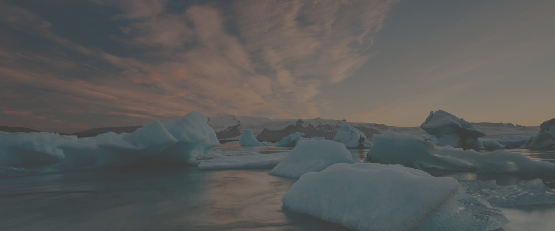 Climate Change & Sustainable Business Solutions