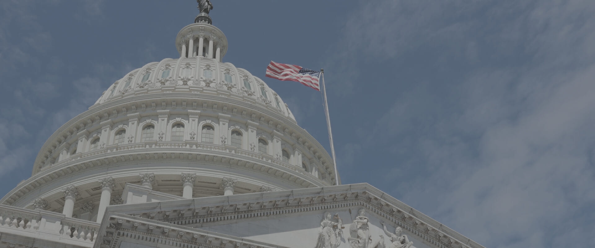 government